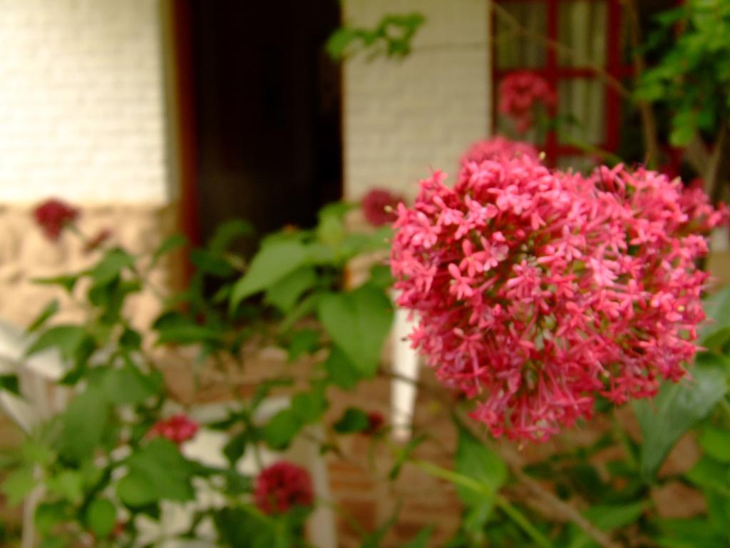 Hosteria Rural Piedra Y Camino 호텔 노노 외부 사진